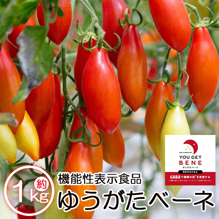機能性表示食品 ミニトマト ゆうがたベーネ 1kg - ミニトマト プチトマト フルーツトマト ギフト のし対応 高糖度 お歳暮 御歳暮 贈答用 贈り物 is-0013