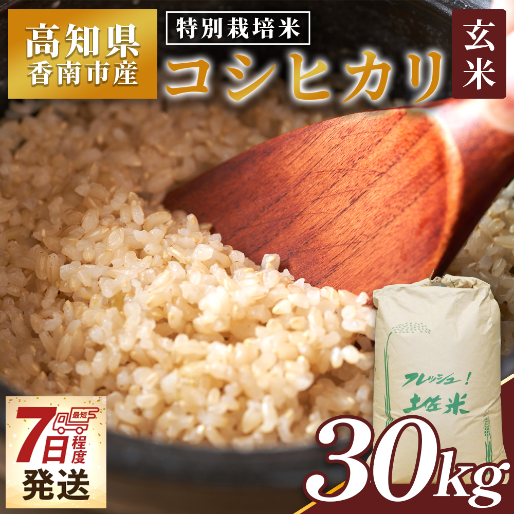 【7日程度で発送】特別栽培米 コシヒカリ 玄米 30kg - 国産 米 お米 おこめ こしひかり 玄米 ごはん おにぎり おむすび ご飯 最短配送 スピード発送 早い 早く届く 農業公社 高知県 香南市 常温 nu-0005