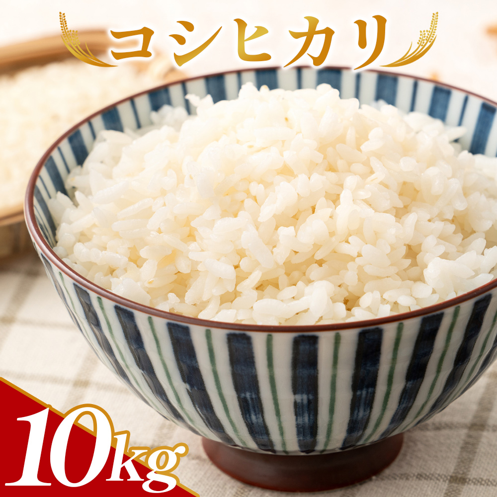コシヒカリ 計10kg - 米 お米 こめ おこめ こしひかり ご飯 ごはん 白米 精米 合同会社歩 高知県 香南市 常温 ga-0007