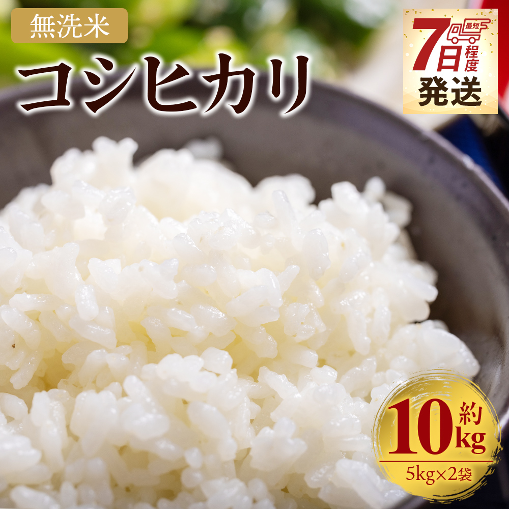 [7日程度で発送]新米 令和7年産 無洗米 コシヒカリ 10kg - お米 白米 精米 早く届く スピード発送 最短配送 早い cs-0001