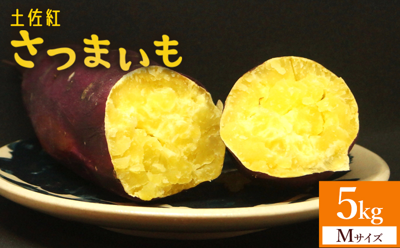 【2026年発送分】さつまいも(土佐紅) Mサイズ 5kg- サツマイモ さつま芋 野菜 焼き芋 やきいも 焼いも 蒸し芋 おやつ スイーツ スイートポテト 国産 アスタ農園 高知県 香南市【常温】 at-0050