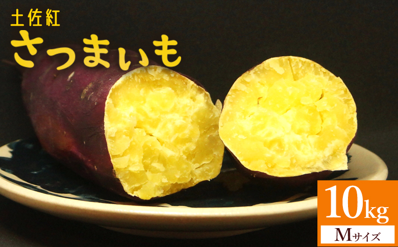 【2026年発送分】さつまいも(土佐紅) Mサイズ 10kg- サツマイモ さつま芋 野菜 焼き芋 やきいも 焼いも 蒸し芋 おやつ スイーツ スイートポテト 国産 アスタ農園 高知県 香南市【常温】 at-0051