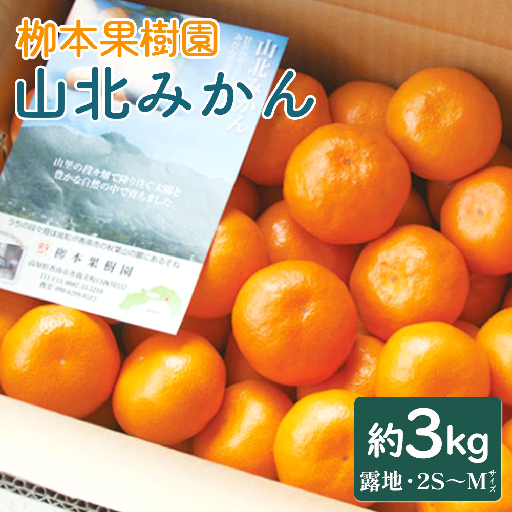 【令和7年発送】柳本果樹園の山北みかん 約3kg(露地・2S~Mサイズ)- 果物 フルーツ 柑橘類 温州みかん ミカン 蜜柑 甘い おいしい 送料無料 のし 贈り物 冬 期間限定 季節限定 数量限定 2025年出荷 高知県 香南市 yg-0006