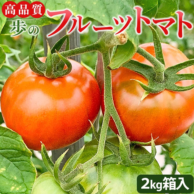 高品質!歩のフルーツトマト 約2kg 箱入り 先行予約 - とまと やさい 野菜 あまい さっぱり 贈り物 ギフト 贈答用 料理 サンドイッチ サラダ 酸味 糖度 夜須町産 冷蔵 ga-0005