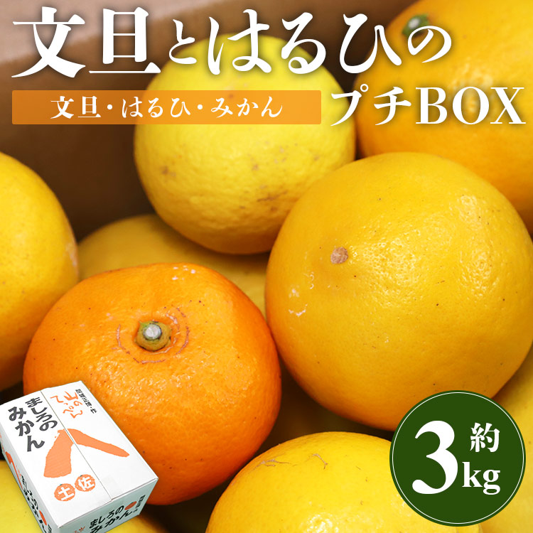 [先行予約]文旦とはるひのプチBOX 合計約3kg - フルーツ 果物 くだもの ぶんたん ブンタン ぼんたん ザボン 柑橘 蜜柑 ミカン お試し 数量限定 期間限定 季節限定 送料無料 間城農園 高知県 香南市 常温 ms-0036