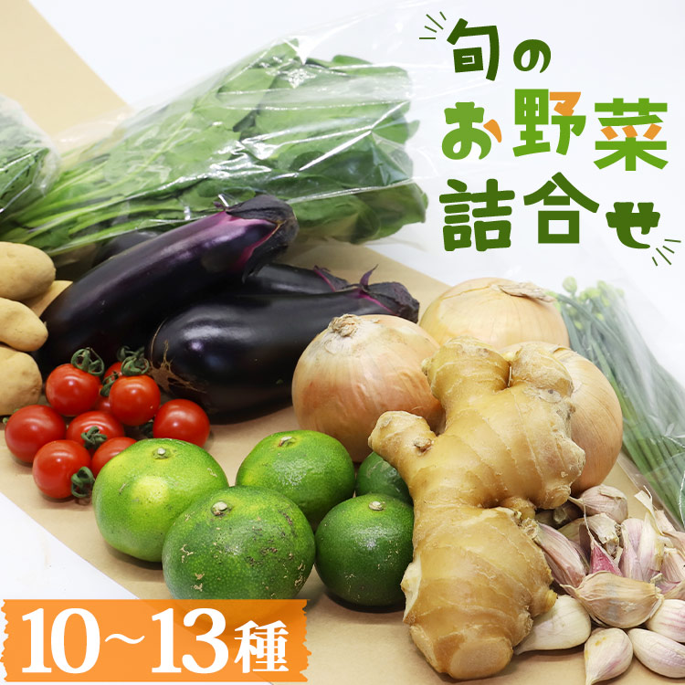 高知県香南市産 旬のお野菜詰合せ(10〜13品目) - やさい 10〜13種類 セット 詰め合わせ 季節の野菜 新鮮 料理 サラダ アレンジ おたのしみ お楽しみ おまかせ お任せ フレッシュ 国産 プライム株式会社 高知県 香南市 pr-0007