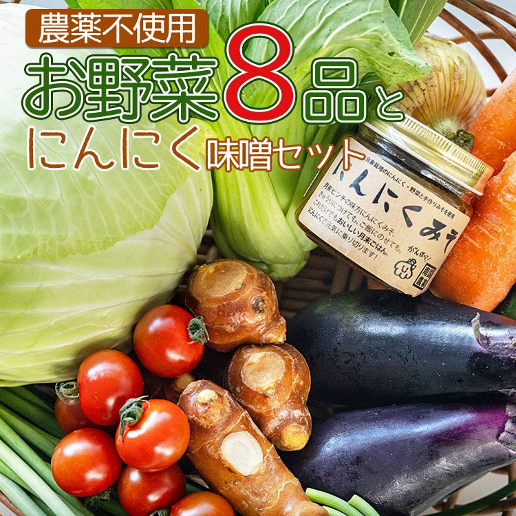 農薬不使用のお野菜8品とにんにく味噌のセット - やさい 詰め合わせ 詰合せ 旬の野菜 土佐野菜 10〜13種類 季節品 お楽しみ おまかせ お任せ おまかせ ミソ みそ 調味料 特産品 国産 高知県 香南市 pr-0011