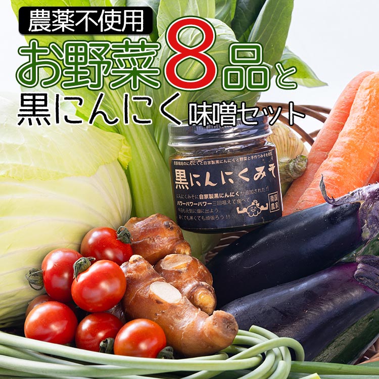 農薬不使用のお野菜8品と黒にんにく味噌のセット - やさい 8種類 ニンニク みそ ミソ ご飯のお供 おかず 調味料 お任せ おまかせ お楽しみ おたのしみ 旬 季節品 国産 特産品 詰合せ 詰め合わせ 料理 サラダ 野菜炒め 高知県 香南市 pr-0012