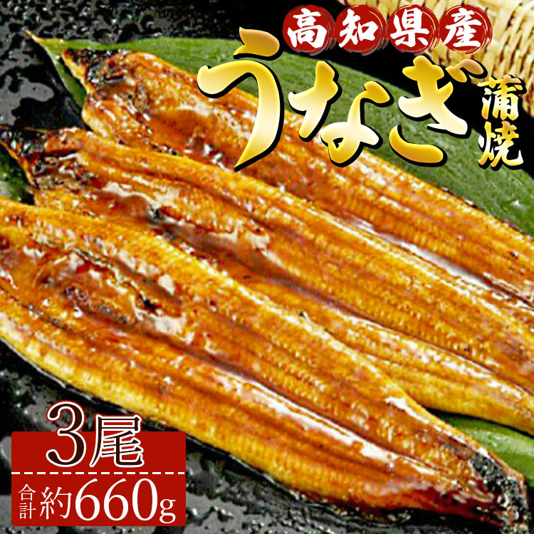 高知県産養殖うなぎ蒲焼き 3尾(合計約660g) - タレ付き たれ 丑の日 鰻 ウナギ かばやき 蒲焼き うな丼 うな重 送料無料 ギフト お中元 御中元 父の日 お礼 御礼 感謝 贈答 贈り物 須崎市道の駅 高知県 香南市 ss-0035