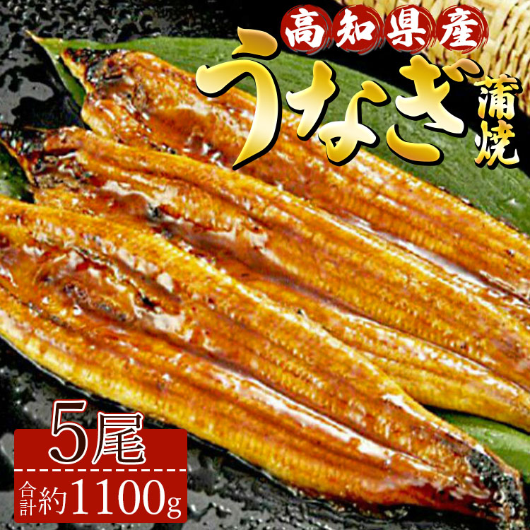 高知県産養殖うなぎ蒲焼 5尾(合計約1100g) - タレ付き たれ 丑の日 鰻 ウナギ かばやき うな丼 うな重 送料無料 須崎市道の駅 ギフト 贈答 贈り物 高知県 香南市 冷凍 ss-0036