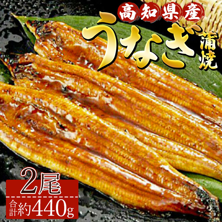 高知県産養殖うなぎ蒲焼き 2尾(合計約440g) - タレ付き たれ 土用の丑の日 鰻 ウナギ かばやき 蒲焼き うな丼 うな重 ギフト お中元 御中元 父の日 お礼 御礼 感謝 贈答 贈り物 送料無料 須崎市道の駅 高知県 香南市 ss-0043