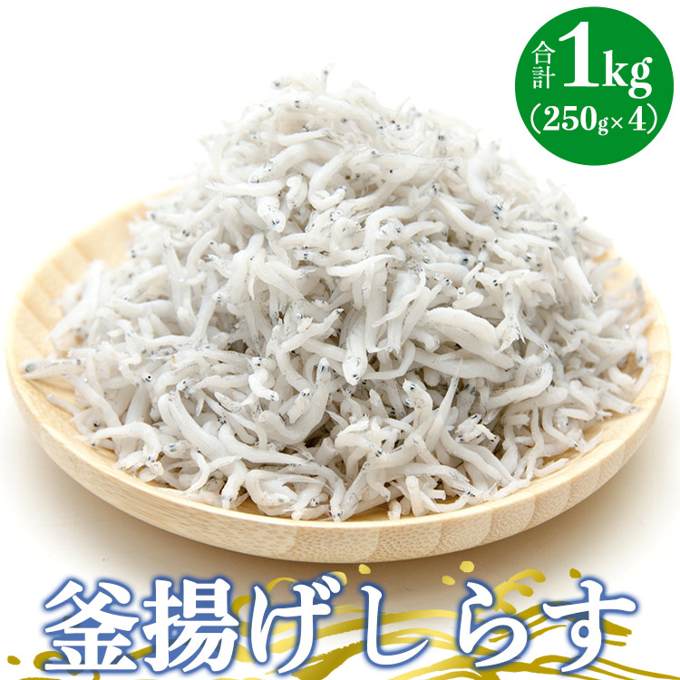 土佐名産 釜揚げしらす 合計1kg(約250g×4)- シラス じゃこ ちりめん ご飯のお供 食事 丼 おつまみ 酒の肴 魚 ギフト 贈答 贈り物 送料無料 高知県 香南市 冷凍 tk-0006