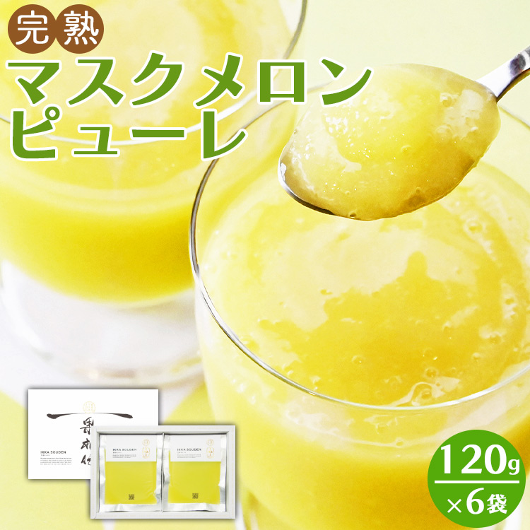 完熟マスクメロンピューレ 120g×6袋 - テレビ「めざましどようび キクエがキクヨ!」で紹介 JALファーストクラス機内食に採用 果物 くだもの フルーツ めろん 果汁100% まるごと アイス シャーベット デザート スイーツ 篤農 高知県 香南市 冷凍 tn-0007