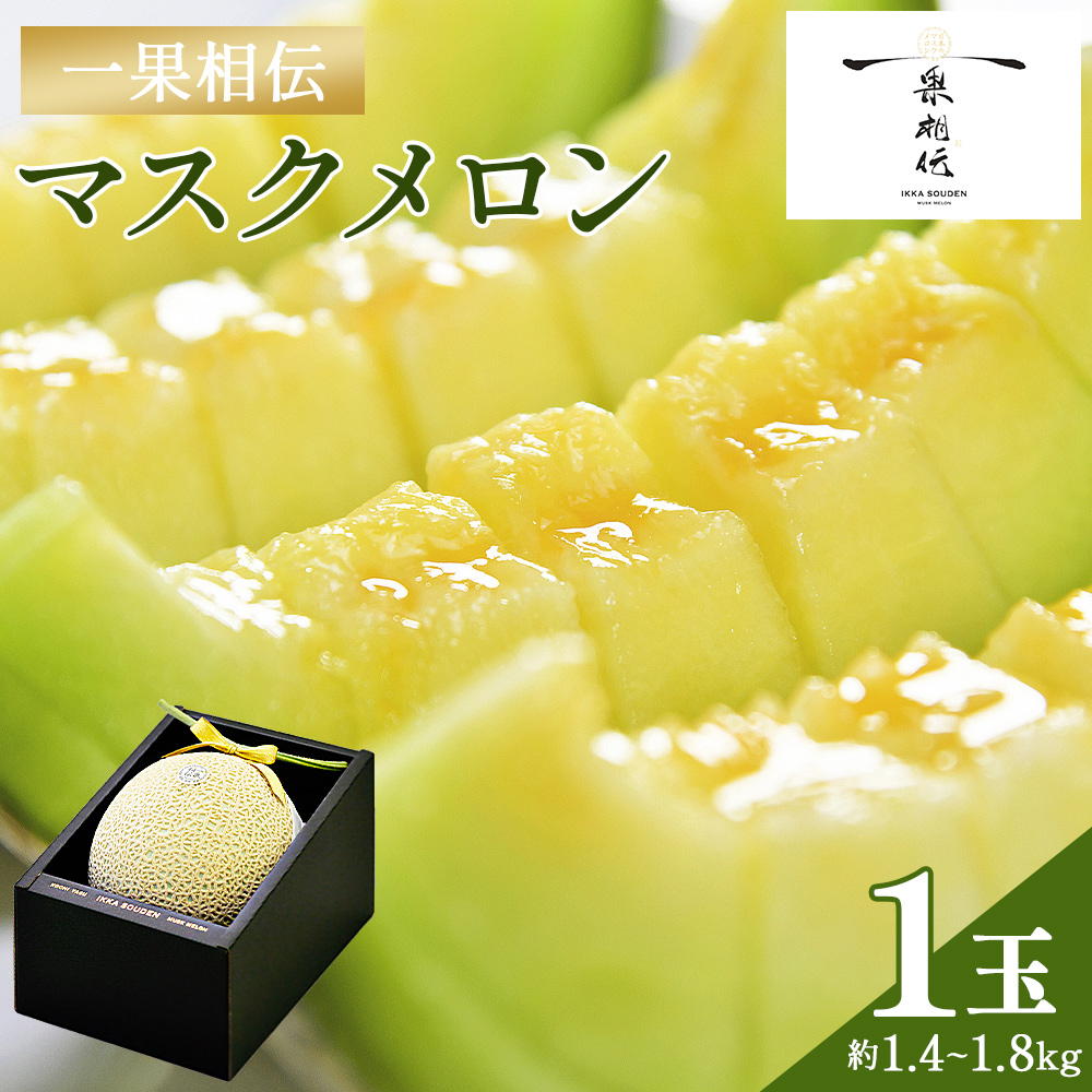 一果相伝 マスクメロン 1玉入り - 送料無料 めろん 青肉 果物 くだもの フルーツ 贈答用 贈答品 産地直送 新鮮 篤農 高級 贅沢 ぜいたく ご褒美 ごほうび おいしい 美味しい 甘い あまい フレッシュ ジューシー 果汁 果肉 果実 スイーツ デザート 特別 プレゼント おとりよせ お取り寄せ グルメ 大きい 記念日 誕生日 お中元 お歳暮 箱入り とくのう 1万円以上 10000円以上 高知県 香南市 常温 tn-0010