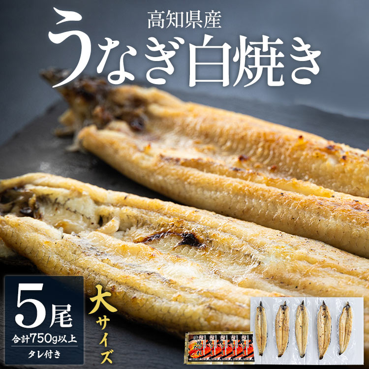 高知県産 うなぎの白焼き 大サイズ 5尾(合計750g以上)タレ付き - 送料無料 鰻 ウナギ 晩ご飯 夕飯 おかず 魚 肴 おつまみ 国産 贈答用 贈り物 吉川水産 高知県 香南市 yw-0068