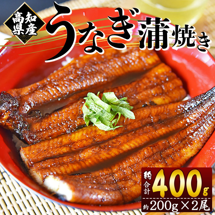 うなぎ 2尾 計400g