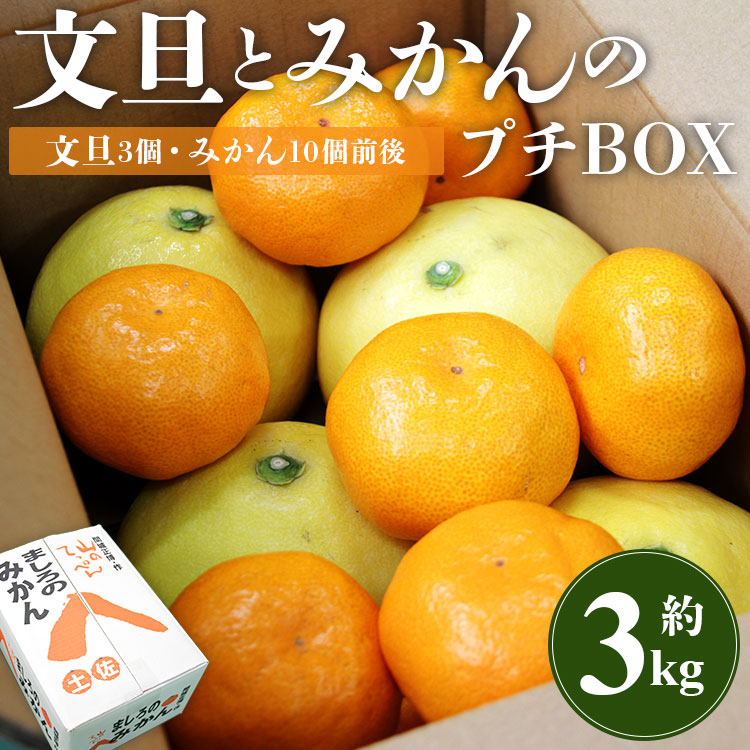 [先行予約]文旦とみかんのプチBOX 約3kg - 果物 くだもの フルーツ 柑橘類 ぶんたん ブンタン ミカン 詰め合わせ つめあわせ セット 食べ比べ お楽しみ お試し おいしい 特産品 間城農園 高知県 香南市 ms-0040