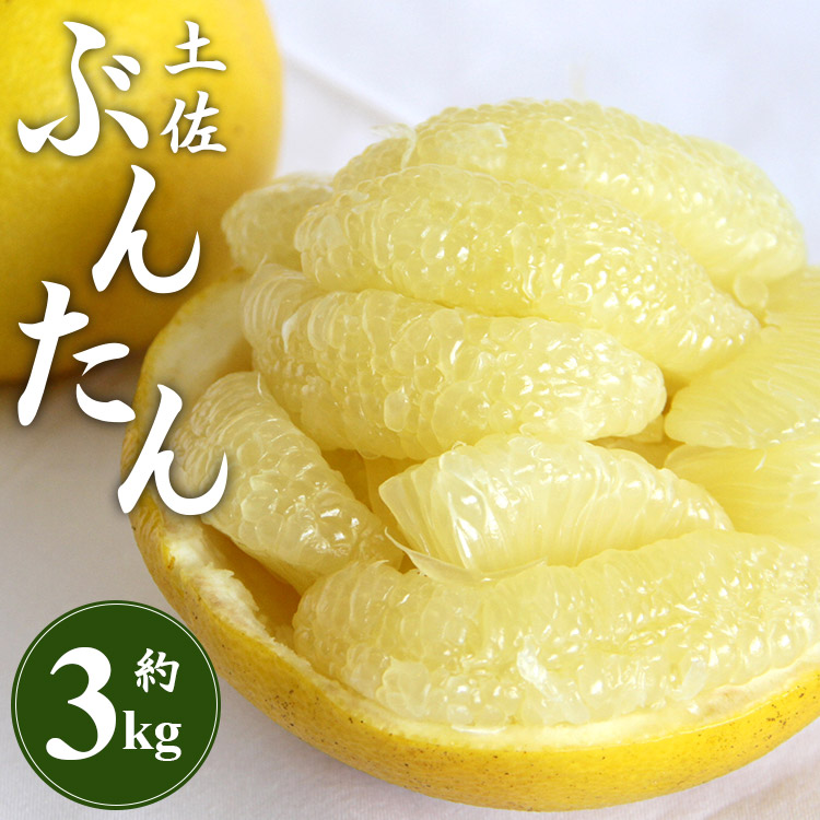 [先行予約]土佐文旦 約3kg(2L〜4Lサイズ)- 期間 数量限定 果物 くだもの フルーツ 柑橘類 果実 ぶんたん ブンタン 美味しい フレッシュ ジューシー 果汁 間城農園 3キロ ザボン ボンタン お取り寄せ とりよせ 特産品 贈答 高知県 香南市 ms-0064