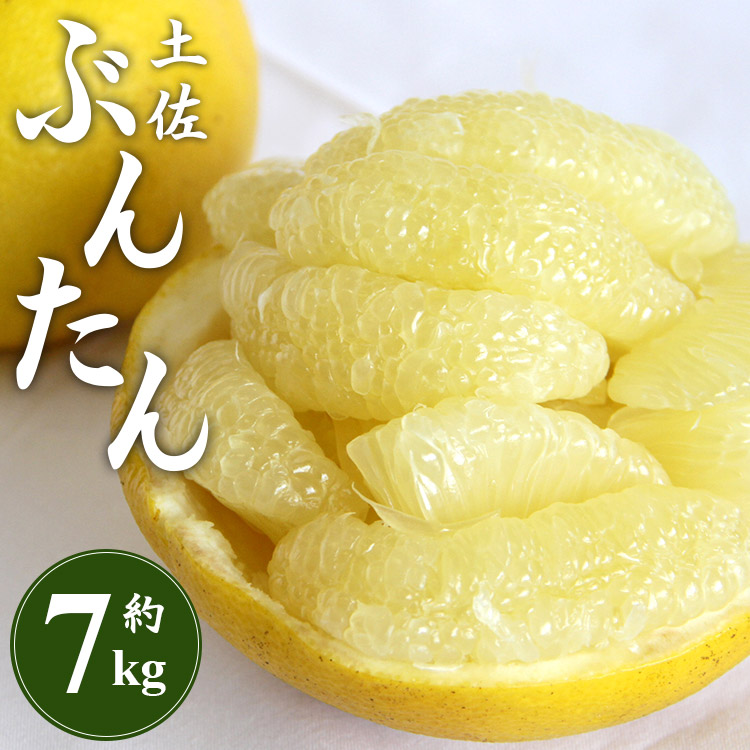 [先行予約]土佐文旦 約7kg (2L〜4Lサイズ) - 期間 数量限定 果物 くだもの フルーツ 柑橘類 果実 ぶんたん ブンタン 美味しい フレッシュ ジューシー 果汁 間城農園 7キロ ザボン ボンタン お取り寄せ とりよせ 特産品 贈答 高知県 香南市 常温 ms-0067
