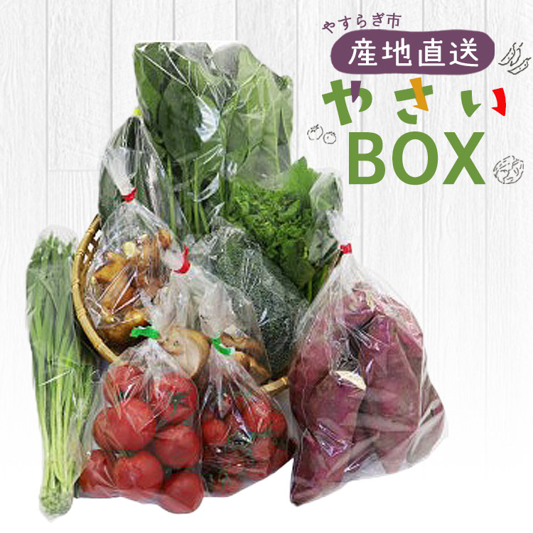 先行予約!産地直送やさいBOX - 野菜 ベジタブル おまかせ 詰め合わせ セット 季節 旬 お任せ 10種類前後 お楽しみ ヘルシー 国産 特産品 送料無料 やすらぎ市 高知県 香南市 冷蔵 yr-0011