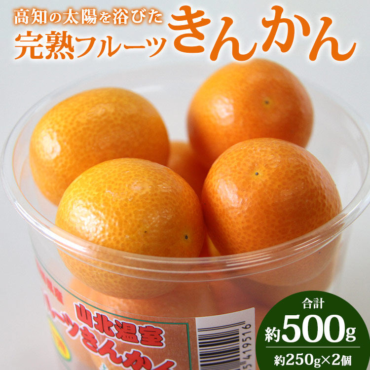 高知の太陽を浴びた完熟フルーツきんかん 合計500g(250g×2パック) - 果物 フルーツ キンカン 金柑 柑橘 期間限定 数量限定 ku-0020