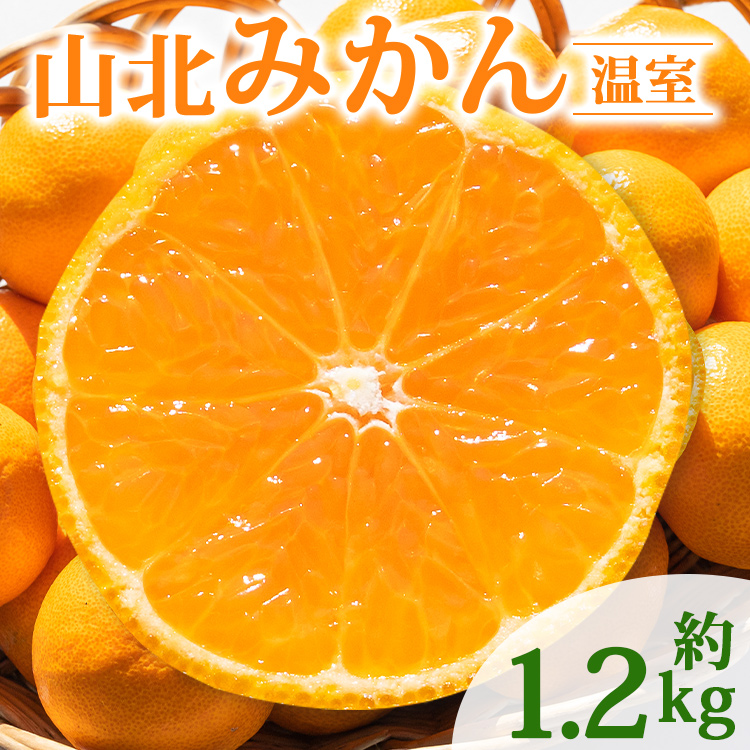 温室みかん 1.2kg