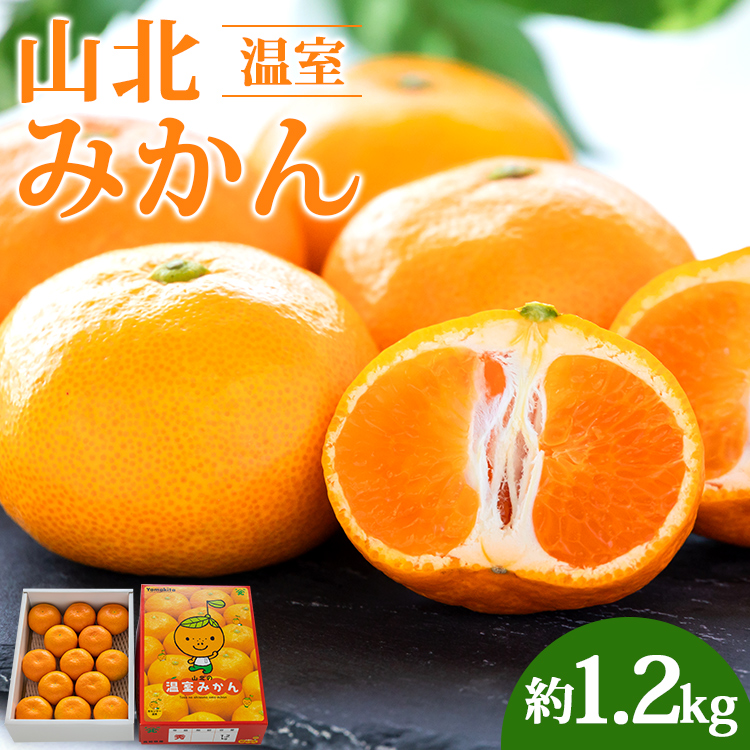 温室みかん 1.2kg