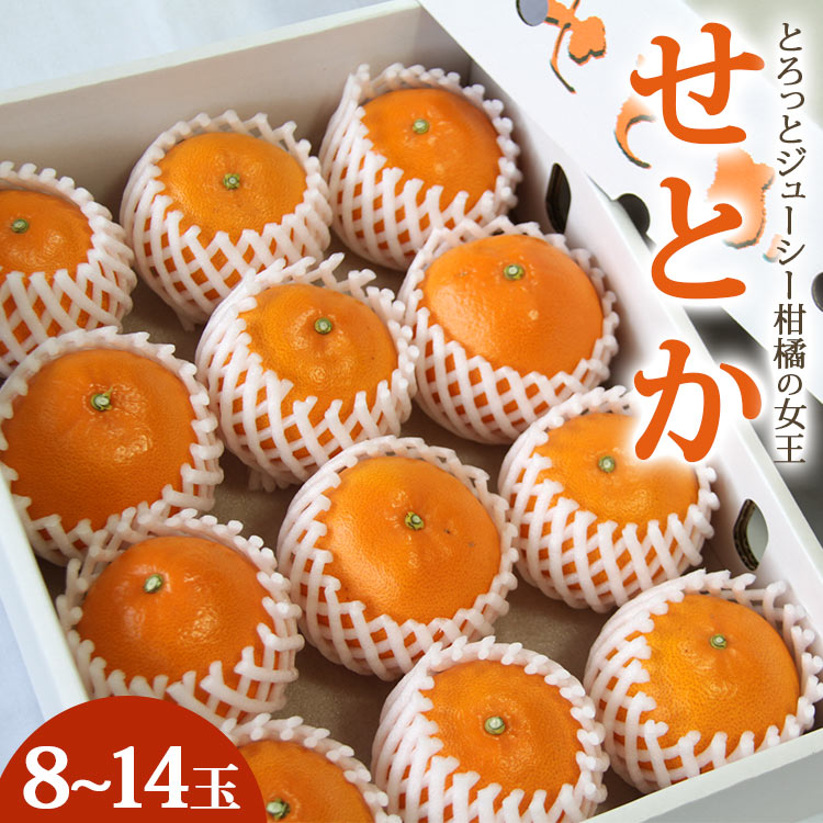 とろっとジューシー柑橘の女王 せとか 約3kg(8〜14玉)- 秀品・丸秀品混合 果物 果実 くだもの フルーツ オレンジ ミカン 蜜柑 みかん 先行予約 受付中 期間限定 季節限定 熨斗 のし対応可 贈答 贈り物 おくりもの ギフト プレゼント 高知県 香南市 常温 果汁 ジューシー みずみずしい 濃厚 のうこう おいしい 糖度 甘い あまい 贈答 お祝い お礼 内祝い おとりよせ お取り寄せ 特産品 国産 旬 セトカ ご褒美 ごほうび 高知県 香南市 ku-0029