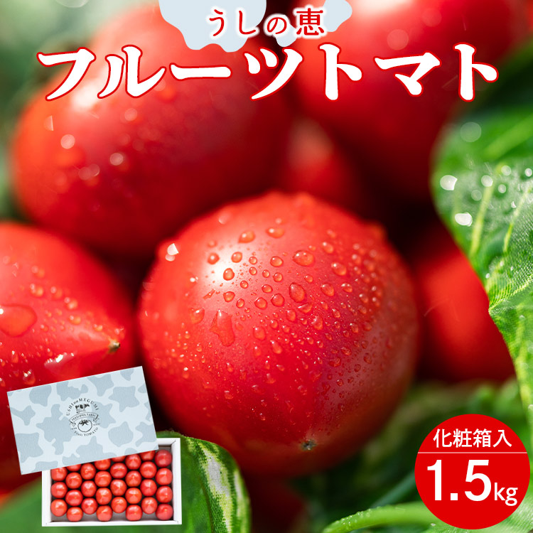 [数量限定]うしの恵 フルーツトマト 化粧箱入り 約1.5kg - 野菜 とまと 産地直送 2025年発送 令和7年 料理 アレンジ サラダ 鍋 サンドイッチ 完熟 甘い あまい フレッシュ さっぱり 酸味 ギフト 贈答 お礼 御礼 おいしい 国産 高知県 香南市 mj-0013