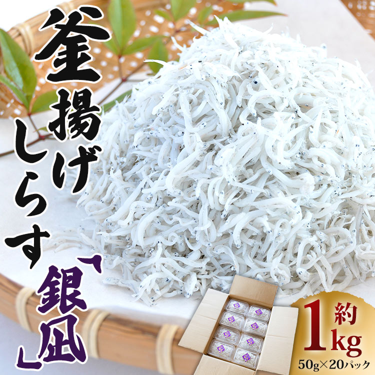 極上釜揚げしらす「銀凪」小分け20パック (合計約1kg・50g×20パック) - 小魚 さかな シラス かまあげ 丼 魚介 シーフード 選べる梱包 特産品 海産物 新鮮 ご飯のお供 おつまみ 国産 贈答 ギフト 海の幸 令和6年 ヤマナカ水産 高知県 香南市 冷凍 ym-0010