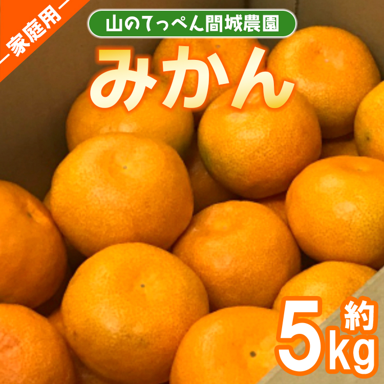 山のてっぺん 間城農園 みかん (家庭用) 約5kg - 果物 くだもの フルーツ 柑橘 温州みかん ミカン 送料無料 数量限定 期間限定 高知県 香南市[常温] ms-0074