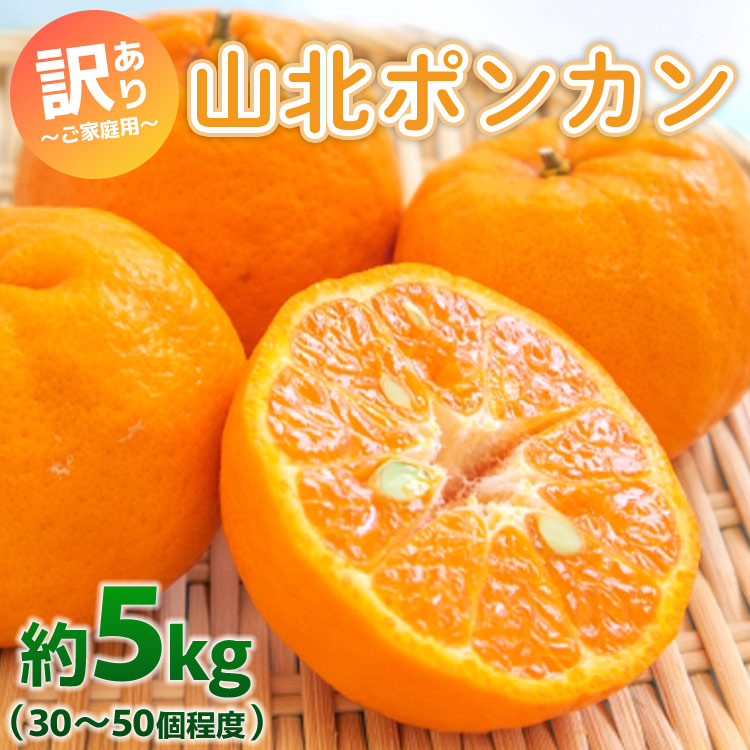 家庭用 山北ポンカン 5kg(約30〜50個程度) - 果物 フルーツ 柑橘類 ぽんかん ミカン 蜜柑 訳アリ わけあり 生産者応援 甘い おいしい 美味しい 山北みらい 高知県 香南市 yk-0031