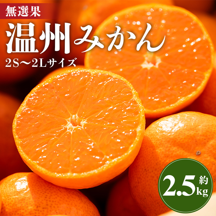 訳あり 温州みかん 2.5kg 大小混合 山のてっぺん間城農園みかん - ミカン 蜜柑 柑橘 柑橘類 フルーツ 果物 くだもの 甘い 家庭用 サイズ混合 高知県 香南市 ms-0071