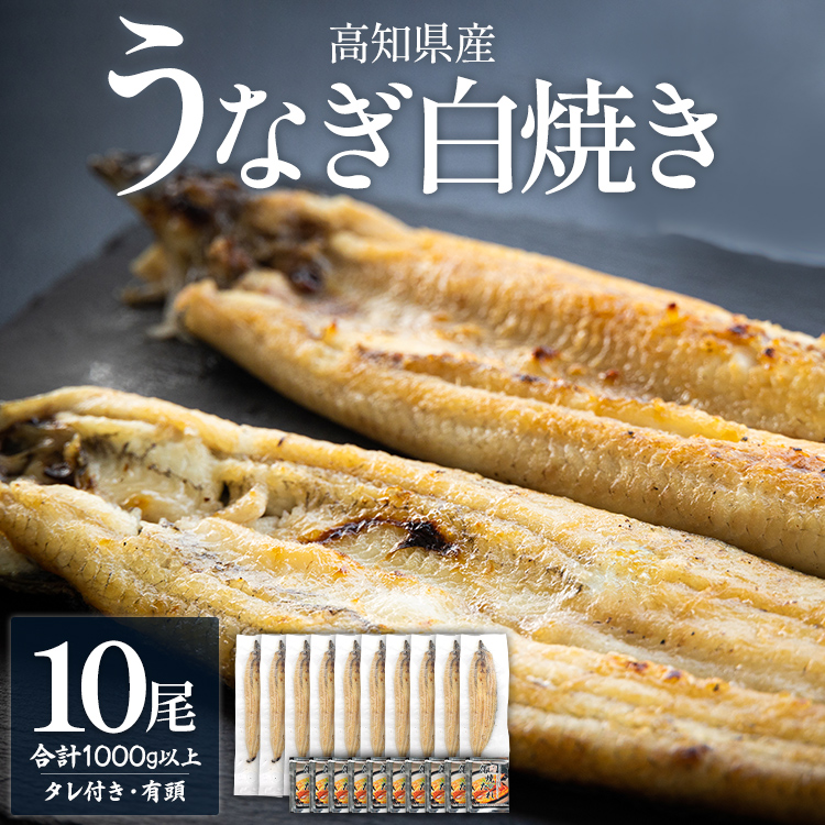 蒲焼きタレ付き うなぎ 白焼き 1kg以上 10尾×100〜120g - 蒲焼き タレ付き 国産 鰻 ウナギ 有頭 背開き つまみ ご飯のお供 老舗 土佐湾 吉川水産 高知県 香南市 冷凍 yw-0082