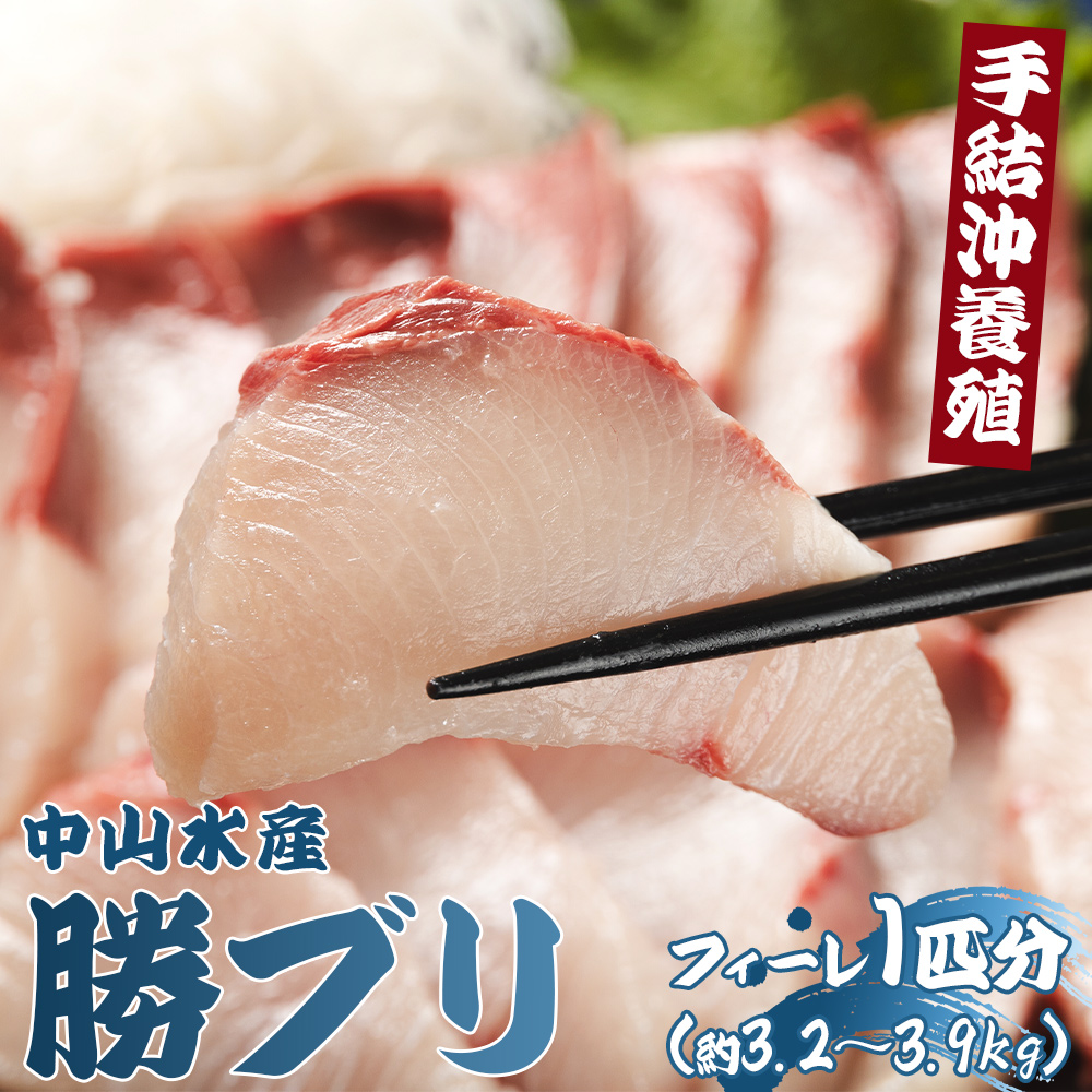 「勝ブリ」のフィーレ約3.2kg〜3.9kg [先行予約] 手結沖養殖 - 期間限定 魚 ぶり 鰤 寒ブリ 海鮮 鮮魚 魚介類 切り身 海の幸 ギフト お刺身 煮物 焼き魚 おかず 産地直送 のし対応可 送料無料 高知県 香南市 ny-0004