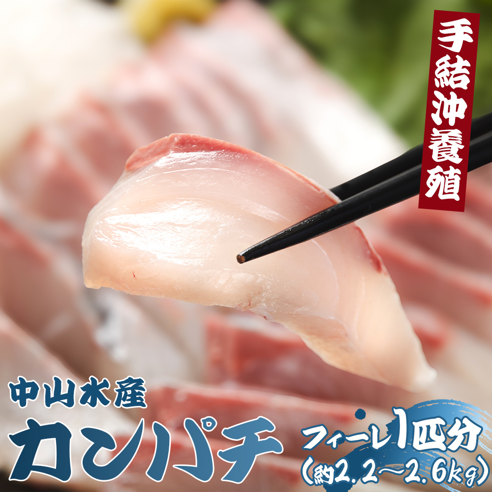 「カンパチ」のフィーレ約2.2kg〜2.6Kg [先行申込] 手結沖養殖 - 期間限定 魚 かんぱち 海鮮 鮮魚 魚介類 切り身 海の幸 ギフト お刺身 煮物 焼き魚 おかず 手結沖養殖 産地直送 送料無料 高知県 香南市 ny-0008