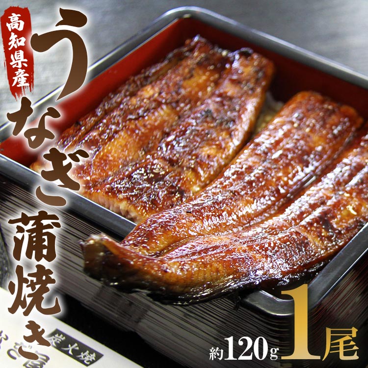 うなぎ屋きた本 うなぎ蒲焼き 1尾(約120g)(無頭) - 送料無料 鰻 ウナギ スタミナ 晩ご飯 おつまみ 丼ぶり 魚 ギフト お取り寄せグルメ プレゼント 海の幸 ギフト うなぎ屋きた本 高知県 香南市 冷凍 un-0013