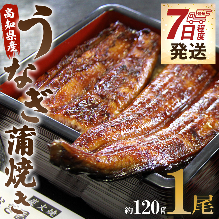 [7日程度で発送]うなぎ蒲焼き 1尾(約120g)(無頭) - うなぎ屋きた本 鰻 ウナギ スタミナ 晩ご飯 おつまみ 丼ぶり 魚 ギフト お取り寄せグルメ プレゼント 海の幸 ギフト うなぎ屋きた本 高知県 香南市 冷凍 un-0013