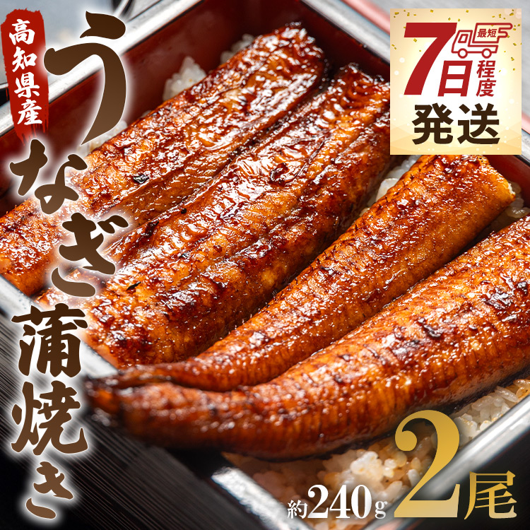 [7日程度で発送]うなぎ蒲焼き 2尾(合計約240g)(無頭) - 送料無料 鰻 ウナギ 晩御飯 おかず おつまみ アテ スタミナ プレゼント ギフト 贈答 丑の日 父の日 敬老の日 うなぎ屋きた本 高知県 香南市 冷凍 un-0014
