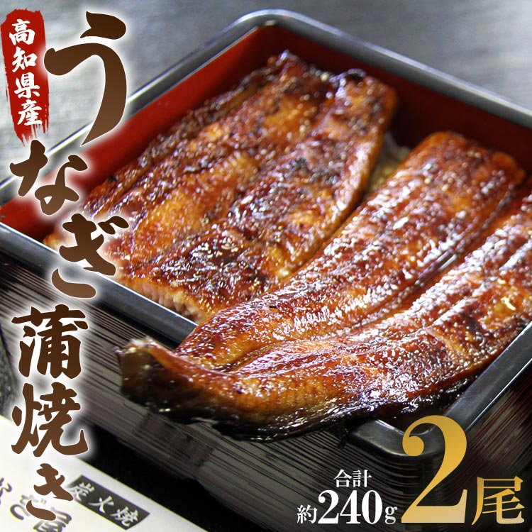 うなぎ屋きた本 うなぎ蒲焼き 2尾(合計約240g)(無頭) - 送料無料 鰻 ウナギ 晩御飯 おかず おつまみ アテ スタミナ プレゼント ギフト 贈答 丑の日 父の日 敬老の日 うなぎ屋きた本 高知県 香南市 冷凍 un-0014