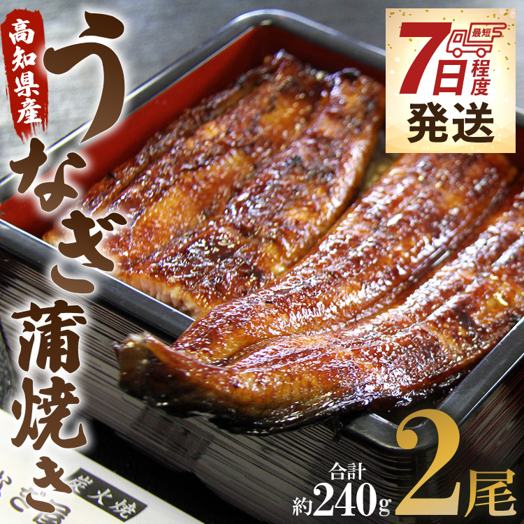 [7日程度で発送]うなぎ蒲焼き 2尾(合計約240g)(無頭) - 送料無料 鰻 ウナギ 晩御飯 おかず おつまみ アテ スタミナ プレゼント ギフト 贈答 丑の日 父の日 敬老の日 うなぎ屋きた本 高知県 香南市 冷凍 un-0014