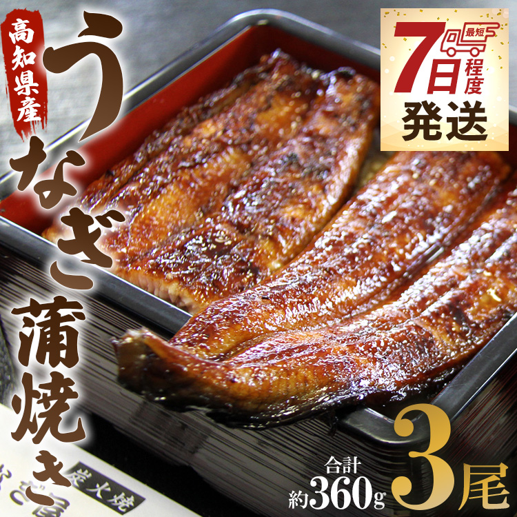 [7日程度で発送]うなぎ蒲焼き 3尾(合計約360g)(無頭) - 送料無料 鰻 ウナギ 魚介 晩ご飯 夕飯 おかず おつまみ スタミナ 敬老の日 ギフト 贈答 贈り物 丑の日 うなぎ屋きた本 高知県 香南市 冷凍 un-0015