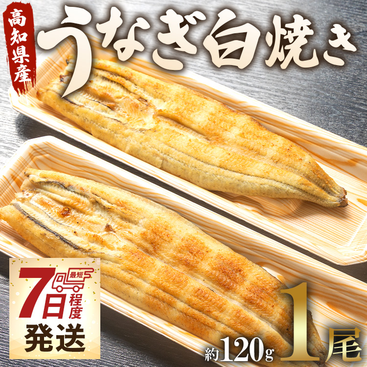 [7日程度で発送]うなぎ白焼き 1尾(約120g)(無頭) - 送料無料 鰻 ウナギ 魚介 山椒塩 惣菜 おかず のし ギフト 贈答 贈り物 プレゼント 丑の日 国産 うなぎ屋きた本 高知県 香南市 冷凍 un-0016