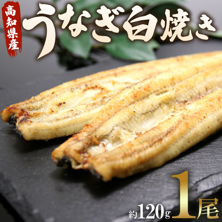 うなぎ屋きた本 うなぎ白焼き 1尾(約120g)(無頭) - 送料無料 鰻 ウナギ 魚介 山椒塩 惣菜 おかず のし ギフト 贈答 贈り物 プレゼント 丑の日 国産 うなぎ屋きた本 高知県 香南市 冷凍 un-0016