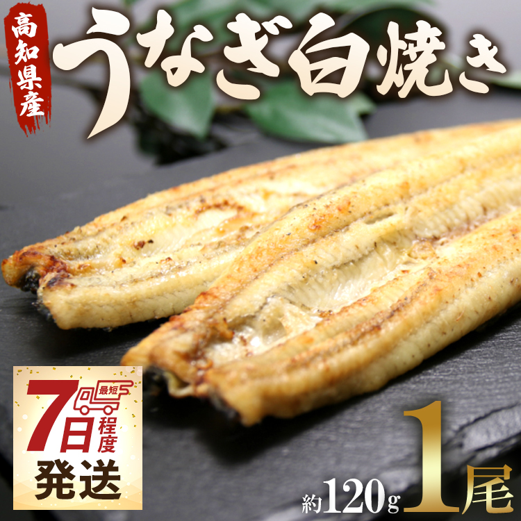 [7日程度で発送]うなぎ白焼き 1尾(約120g)(無頭) - 送料無料 鰻 ウナギ 魚介 山椒塩 惣菜 おかず のし ギフト 贈答 贈り物 プレゼント 丑の日 国産 うなぎ屋きた本 高知県 香南市 冷凍 un-0016