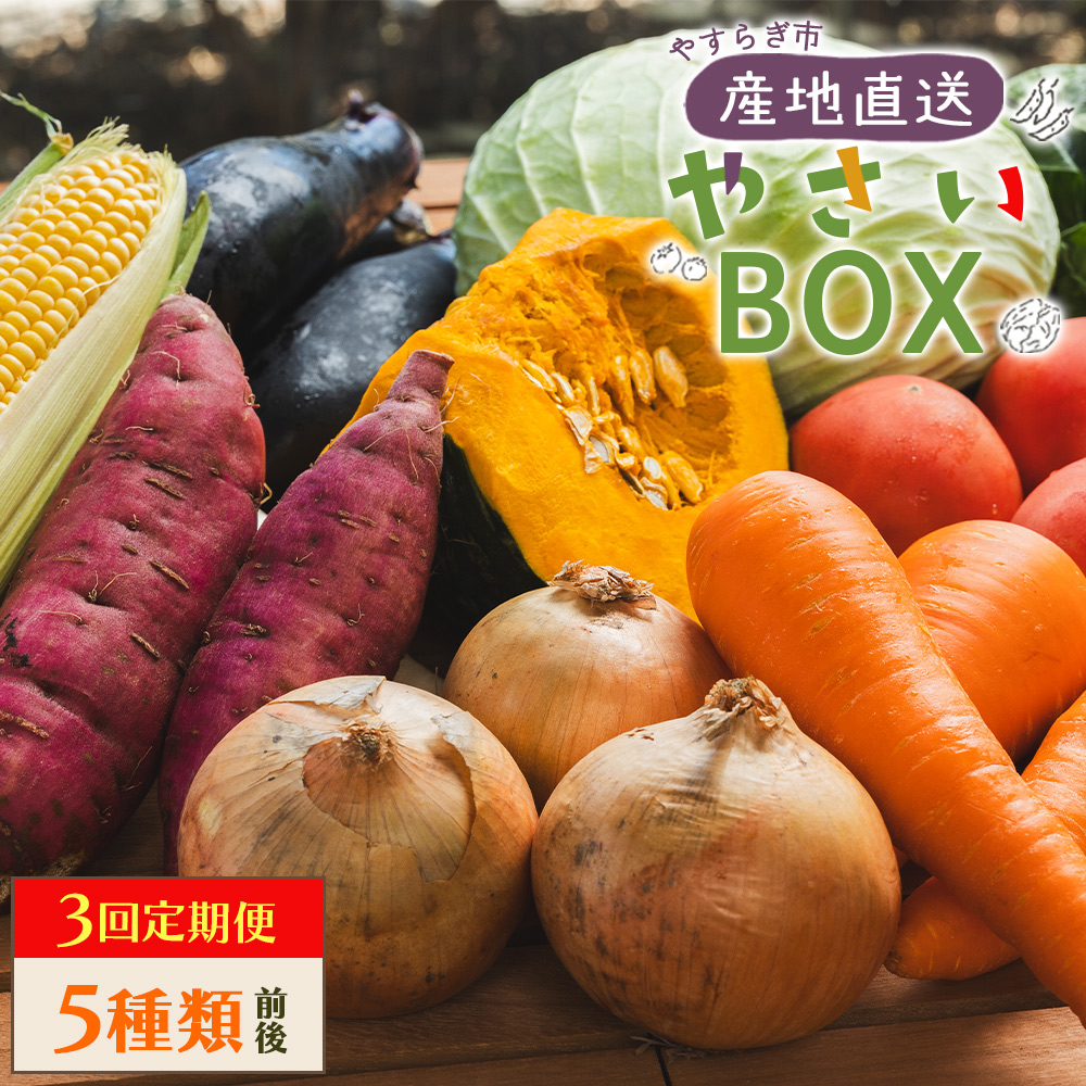 【3回定期便】やすらぎ市 産地直送やさいBOX(5種類前後) - 野菜 ベジタブル おまかせ 詰め合わせ セット 季節 旬 お任せ お楽しみ ヘルシー 国産 特産品 送料無料 やすらぎ市 高知県 香南市 Wyr-0029
