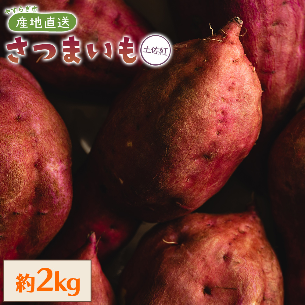 [2025年出荷分]さつまいも(土佐紅)2kg - サツマイモ さつま芋 野菜 焼き芋 やきいも 焼いも おやつ スイーツ スイートポテト バター焼き アレンジ 料理 国産 高知県 香南市 yr-0042