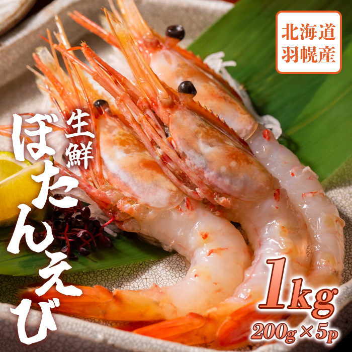 超速リキッド凍結でドリップゼロ!北海道羽幌産生鮮ぼたんえび 1kg【0311901】