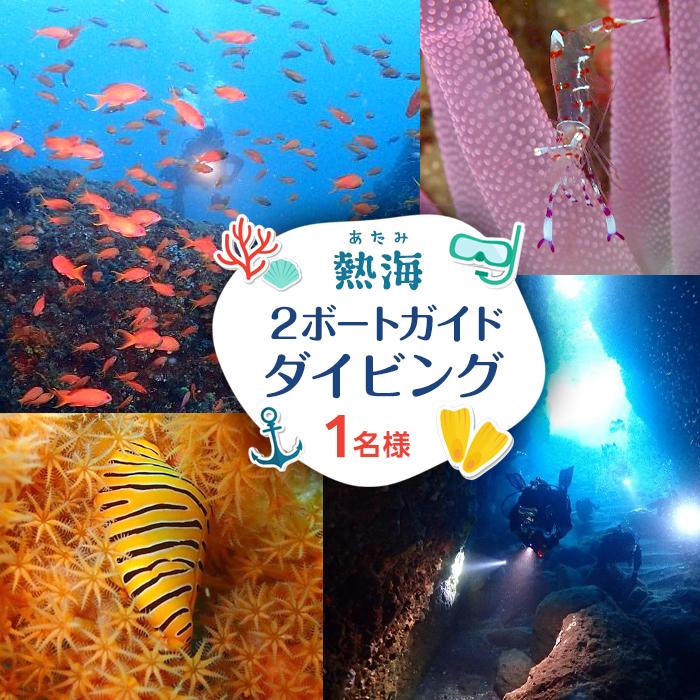 【ライセンス保持者・経験50本以上限定】熱海２ボートガイドダイビング（１名様）