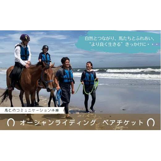 海での乗馬体験 ～ 初心者向け ～ オーシャンライディング  ペア チケット 乗馬 初心者向け 体験 海中乗馬 アクティビティ レジャー 夏休み 旅行 馬 ふれあい ペア八丸牧場  宮城県 東松島市 オンラインワンストップ 申請 自治体マイページ